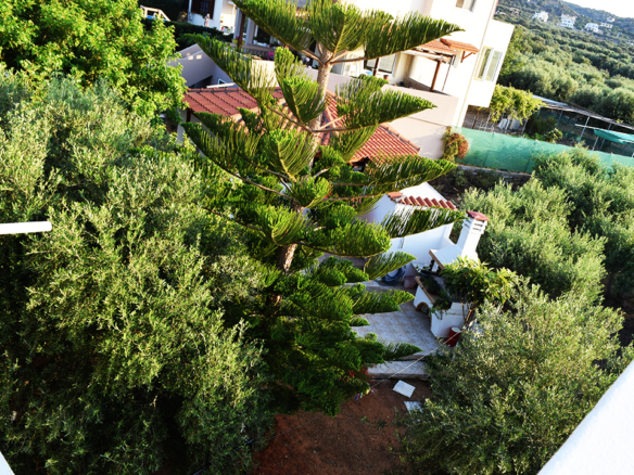 Seaview Complex of 7 Private 1-bed Apartments (Investment Property)