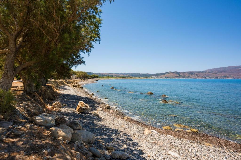 40 Luxury Villa with Private Pool for Sale in Tavronitis, Crete